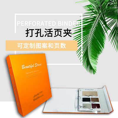 打孔活頁(yè)夾樣本冊(cè)